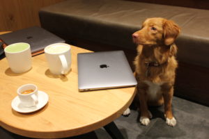 Starbucks Lausanne, Digital Workplace en Suisse